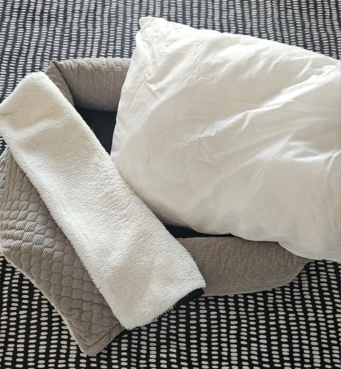 Pet bed