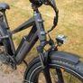 Rad Rhino 6+ ebike Image 2
