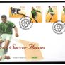 Collection 2002 Ireland Commemorative Stamps An Post First Day Cover (FDC). Collection of 16 covers. Image 9