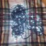 Christmas lights 360 Image 2