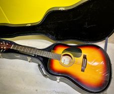 Acoustic Guitar with guitar hard case and guitar stand