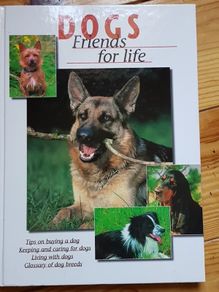 Dogs - Friends for Life