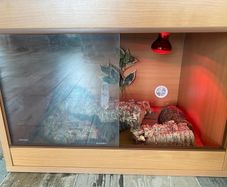 Vivarium