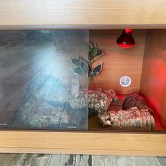 Vivarium