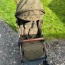 Travel buggy Image 2
