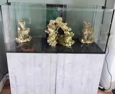 Fish tank