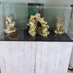 Fish tank