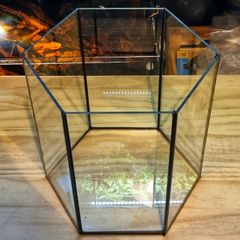 Hexagonal Aquarium 17l
