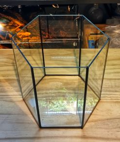 Hexagonal Aquarium 17l