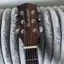 Richwood Acoustic Guitar Image 2