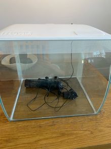 60 litre fish tank