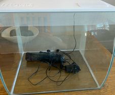 60 litre fish tank