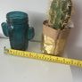Cactus Big Clearout, Make An Offer Image 2