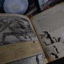 Dragonology: The Frost Dragon Book and Model Set ! 2008 ! by Candlewick  ! Image 9