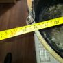 Large Antique Brass Cauldron Jam Pan with Iron Handle and Copper Rivets Image 9