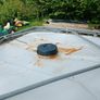 1000L IBC tank. Image 5