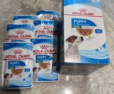 Dog food
