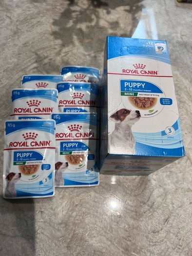 Dog food
