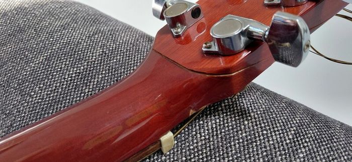 Acoustic Guitar