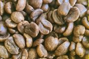 2kg organic Green CO2 decaf coffee beans - Finca la Lindura