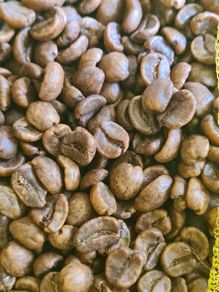 2kg organic Green CO2 decaf coffee beans - Finca la Lindura