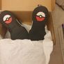 Clarks boys pokemon trainers 7.5G Image 7