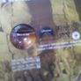 Apocalypse Now Complete Dossier 2 Disc Special Edition U.s. Region 1 Import Image 6