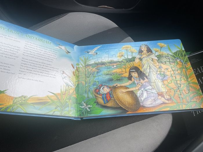 Noah's Ark and Other Classic Bible Stories Jigsaw Book