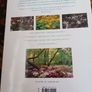 Tough Plants for Tough Places/ Gary Vergine & Michael Jefferson- Brown Image 2