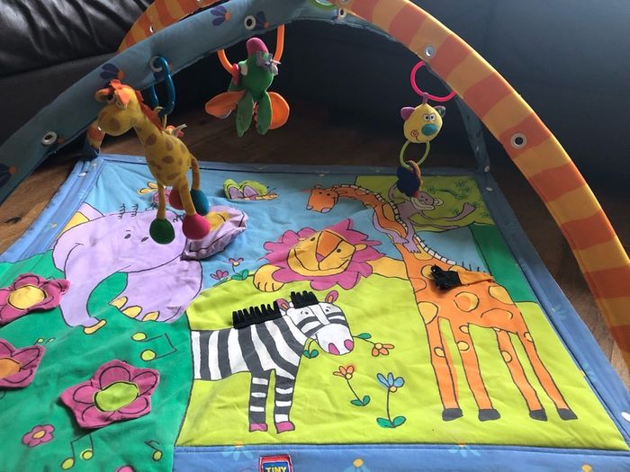 Baby gym/ play mat
