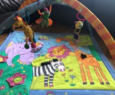 Baby gym/ play mat