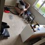 carpet and underlay Image 3