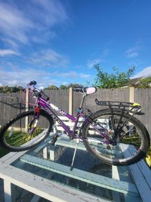 24in bike