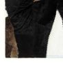 Rug Genuine Hair-on Leather Patchwork 120x170 cm Black/White/Brown Image 2