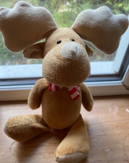 teddy elk soft toy
