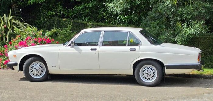 Jaguar XJ 1980 (Perfect wedding car)