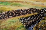 turf bog watercolour