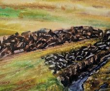 turf bog watercolour