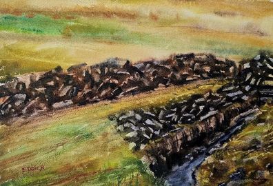 turf bog watercolour