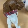 Little Paws Holly The Springer Spaniel Figurine Arora Dog - New in Box Image 5