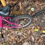 bike girls Image 5
