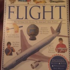 Flight interactive guide