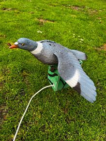 shooting decoy