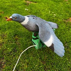 shooting decoy