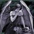 suella.devile