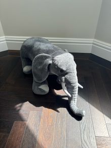 Toy
