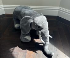 Toy