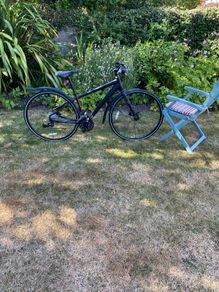 Lady's Bike