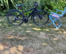 Lady's Bike