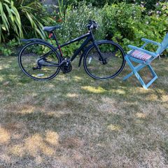 Lady's Bike